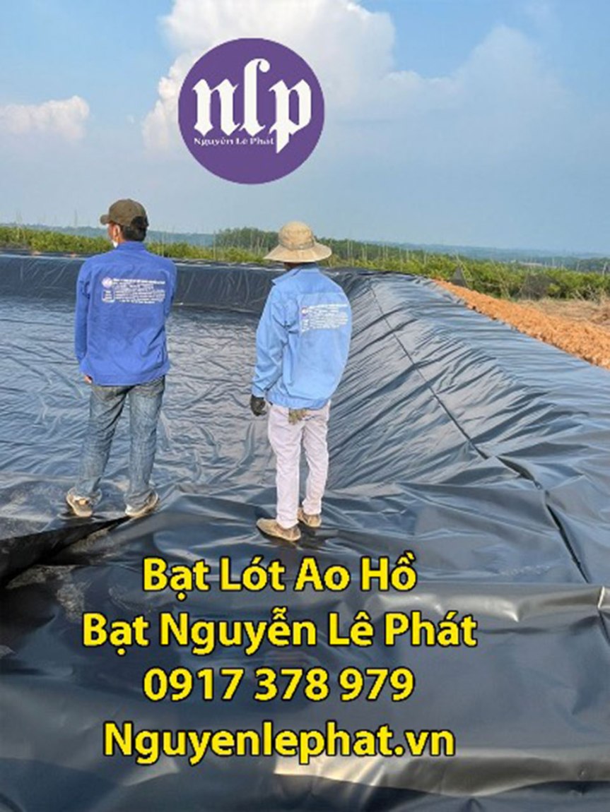 Bạt lót hồ cá tphcm, Địa chỉ mua bạt nuôi cá TPHCM – lót hồ cá, bờ ao, chống thấm HDPE Giá RẺ&nbsp;HCM